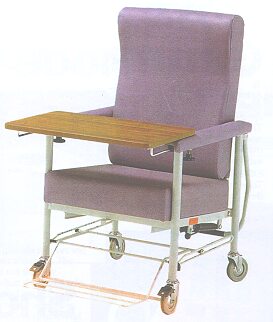 Joyce Cary Recliner Chair