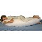 Spine Reliever Body Pillow