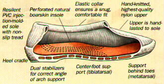 Arcopedico Shoe Structure