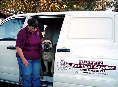 Britt's Pet Taxi Service