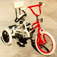 Custom Built Tricycles