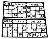 Large Print Bingo Set