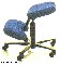 Balans Vital Office Chair