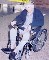 Terrier Powered Wheelchair Unit
