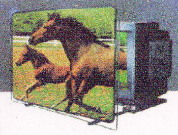 T.V. Screen Magnifier