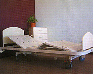 Alrick 2001 Series Low Electric Care Bed