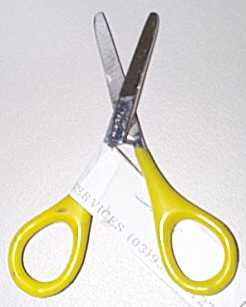 Benbow Scissors