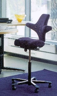 Capisco Office Chair