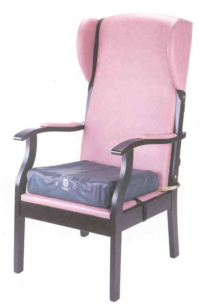 Pegasus Proactive and Daycare Active Seating System