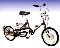 Electric Bicycle and Tricycle