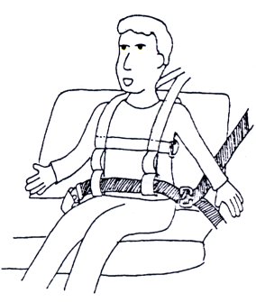 Special Needs Harness